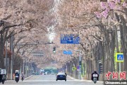 磁县共建“花园城市” 北京这场议政会“百花齐放”