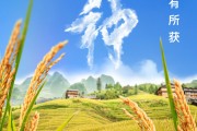 磁县芒种节气小知识来了 夏种作物都有什么？